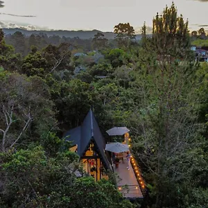 https://ecoluxury-glamping-san-antonio.colombiamedellinhotels.com